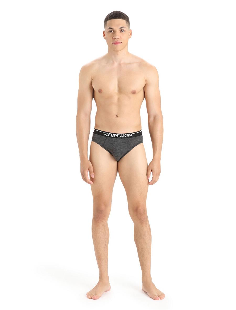 Icebreaker Merino Anatomica Briefs Férfi Fehérnemű Fekete Szürke | HU 1298KORI